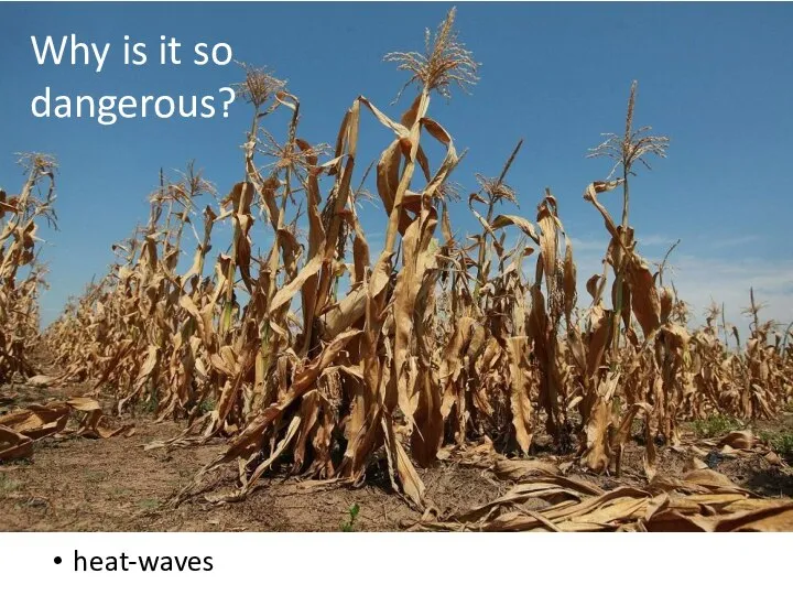 Why is it so dangerous? heat-waves