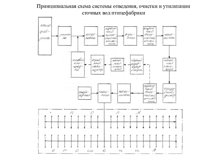 Принципиальная схема системы отведения, очистки и утилизации сточных вод птицефабрики