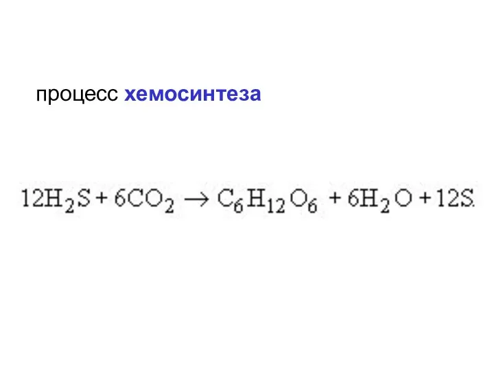 процесс хемосинтеза