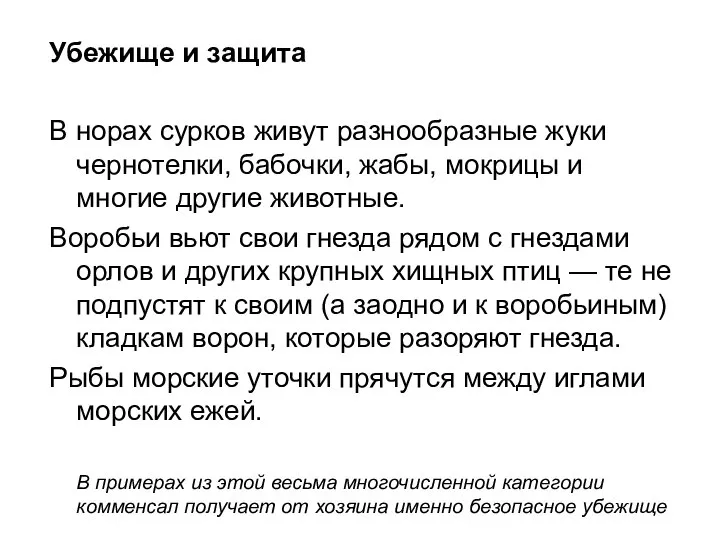 Убежище и защита В норах сурков живут разнообразные жуки чернотелки, бабочки,