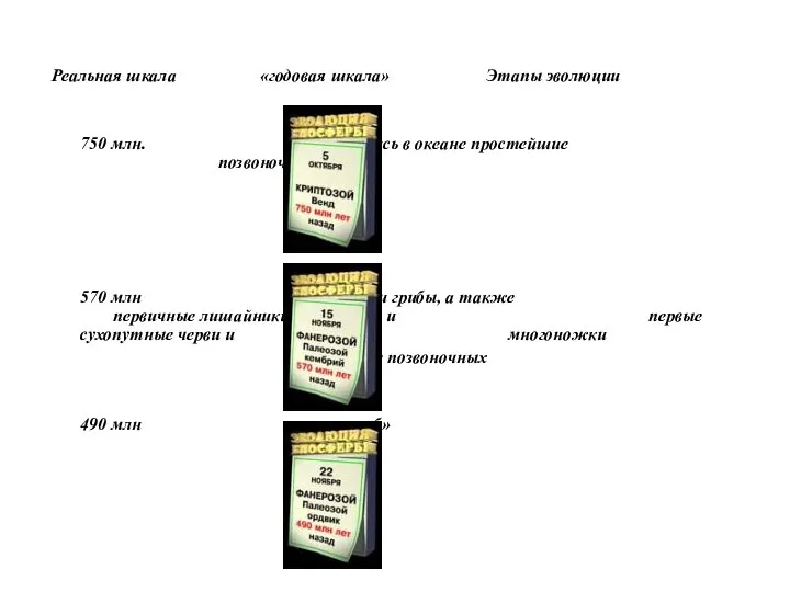 Реальная шкала «годовая шкала» Этапы эволюции 750 млн. появились в океане