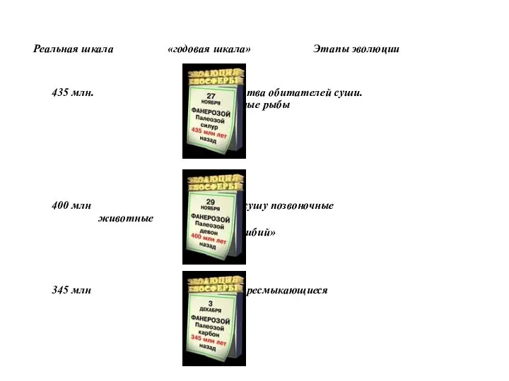 Реальная шкала «годовая шкала» Этапы эволюции 435 млн. сообщества обитателей суши.