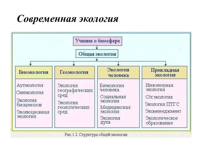 Современная экология