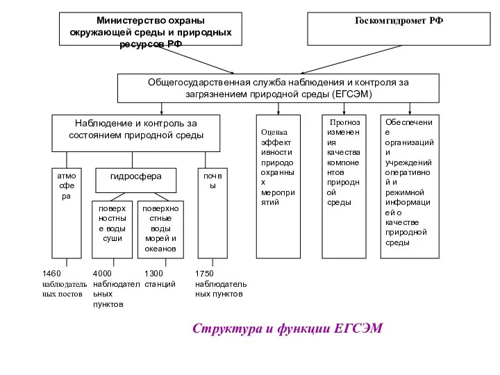 Структура и функции ЕГСЭМ