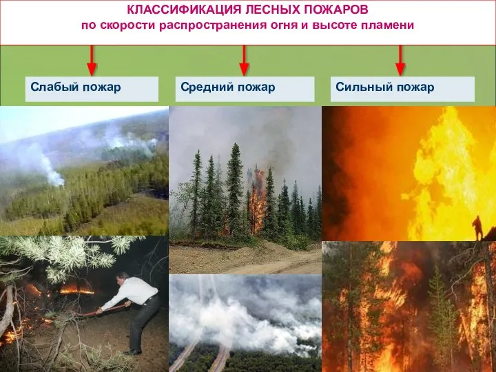 КЛАССИФИКАЦИЯ ЛЕСНЫХ ПОЖАРОВ по скорости распространения огня и высоте пламени Слабый пожар Средний пожар Сильный пожар