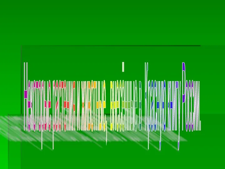 Некоторые растения и животные, внесённые в Красную книгу России.