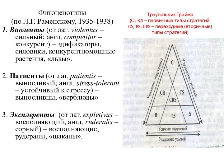 Треугольник Грайма (С, R,S – первичные типы стратегий; CS, RS, CRS