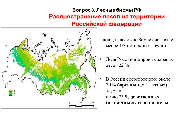 Вопрос 8. Лесные биомы РФ Распространение лесов на территории Российской федерации