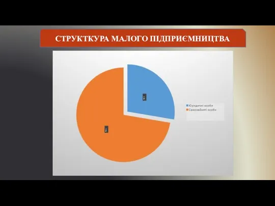 СТРУКТКУРА МАЛОГО ПІДПРИЄМНИЦТВА