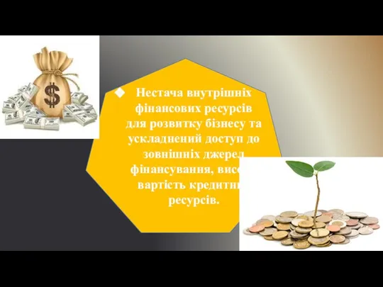 Нестача внутрішніх фінансових ресурсів для розвитку бізнесу та ускладнений доступ до