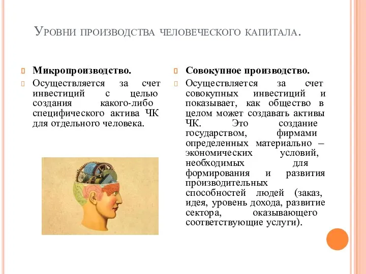 Уровни производства человеческого капитала. Микропроизводство. Осуществляется за счет инвестиций с целью