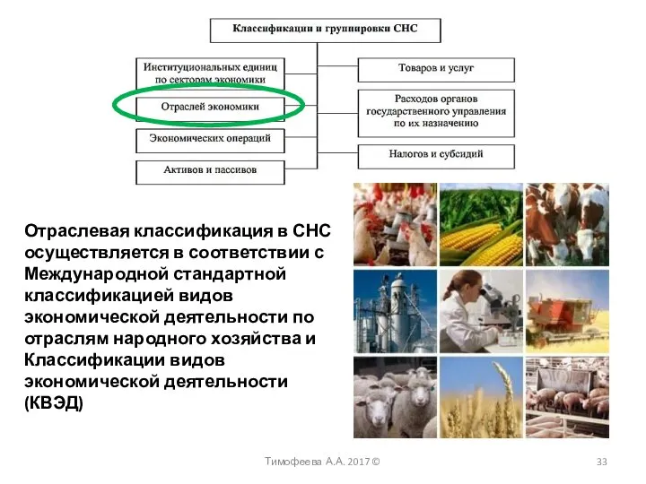 Тимофеева А.А. 2017 © Отраслевая классификация в СНС осуществляется в соответствии