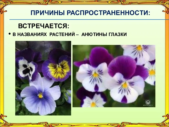 ПРИЧИНЫ РАСПРОСТРАНЕННОСТИ: ВСТРЕЧАЕТСЯ: В НАЗВАНИЯХ РАСТЕНИЙ – АНЮТИНЫ ГЛАЗКИ