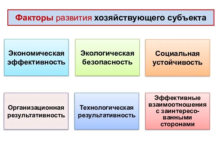 Факторы развития хозяйствующего субъекта Экономическая эффективность Экологическая безопасность Социальная устойчивость Организационная