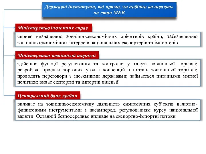 Державні інститути, які прямо, чи побічно впливають на стан МЕВ Міністерство