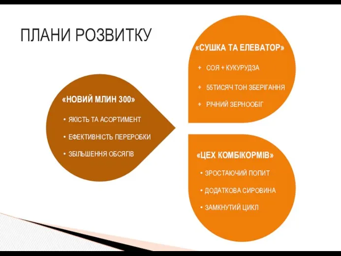 ПЛАНИ РОЗВИТКУ «НОВИЙ МЛИН 300» ЯКІСТЬ ТА АСОРТИМЕНТ ЕФЕКТИВНІСТЬ ПЕРЕРОБКИ ЗБІЛЬШЕННЯ