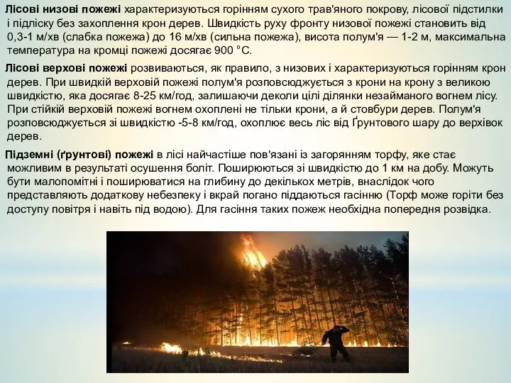 Лісові низові пожежі характеризуються горінням сухого трав'яного покрову, лісової підстилки і