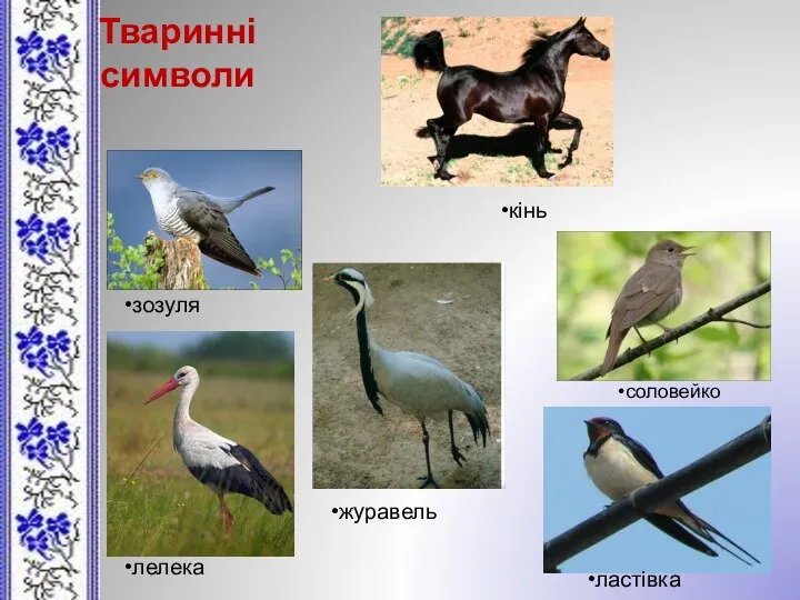 Тваринні символи кінь зозуля лелека журавель соловейко ластівка