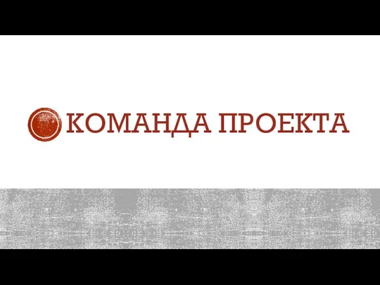 КОМАНДА ПРОЕКТА