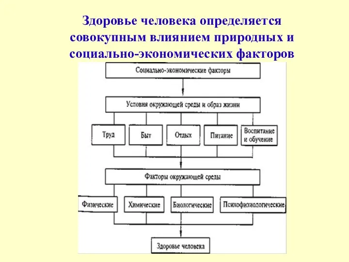 Здоровье человека определяется совокупным влиянием природных и социально-экономических факторов