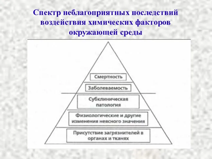 Спектр неблагоприятных последствий воздействия химических факторов окружающей среды