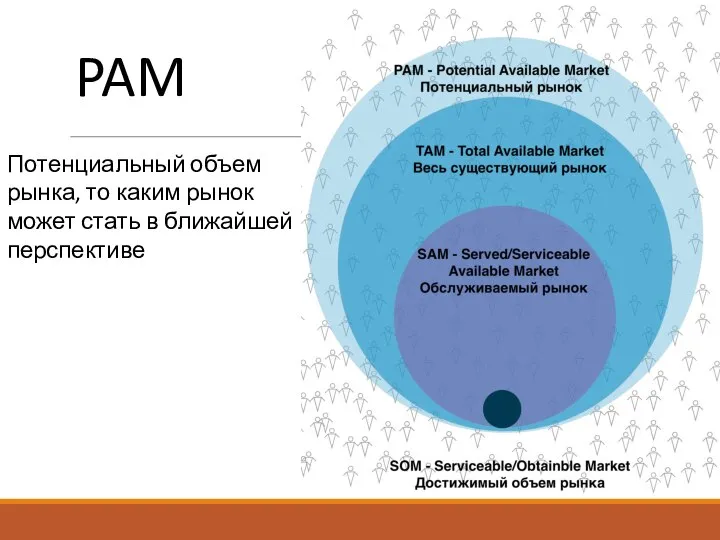 Потенциальный объем рынка, то каким рынок может стать в ближайшей перспективе PAM