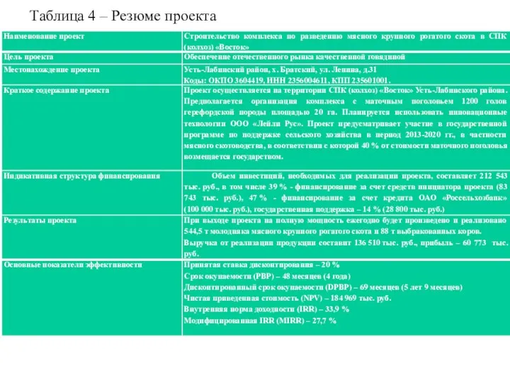 Таблица 4 – Резюме проекта