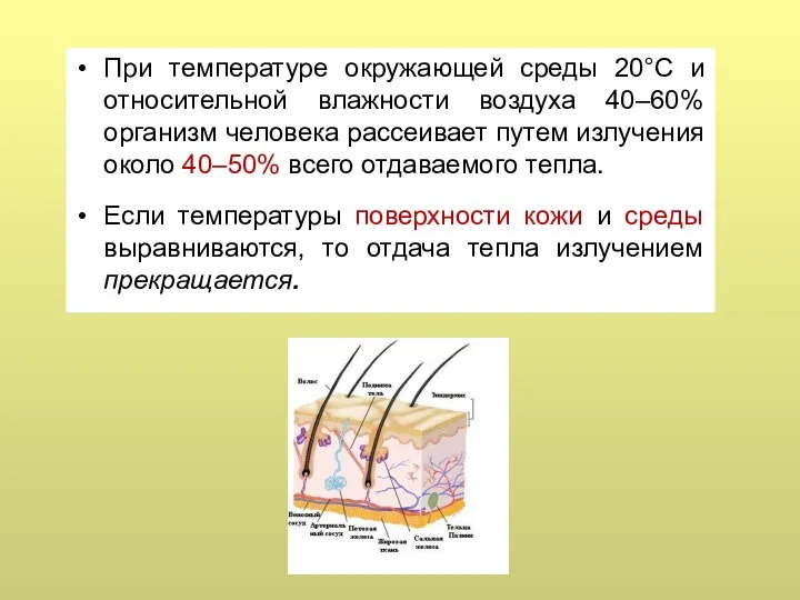 При температуре окружающей среды 20°С и относительной влажности воздуха 40–60% организм