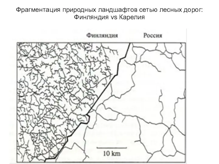 Фрагментация природных ландшафтов сетью лесных дорог: Финляндия vs Карелия