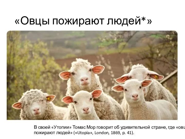 «Овцы пожирают людей*» В своей «Утопии» Томас Мор говорит об удивительной