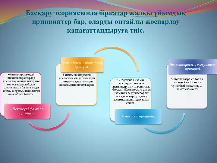 Басқару теориясында бірқатар жалқы ұйымдық принциптер бар, оларды оңтайлы жоспарлау қанағаттандыруға тиіс.