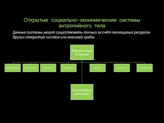 Открытые социально-экономические системы энтропийного типа Данные системы могут существовать только за