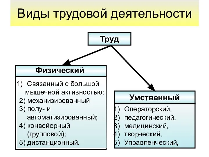 Виды трудовой деятельности Труд Умственный Физический Связанный с большой мышечной активностью;