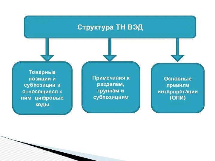 Структура ТН ВЭД Товарные позиции и субпозиции и относящиеся к ним