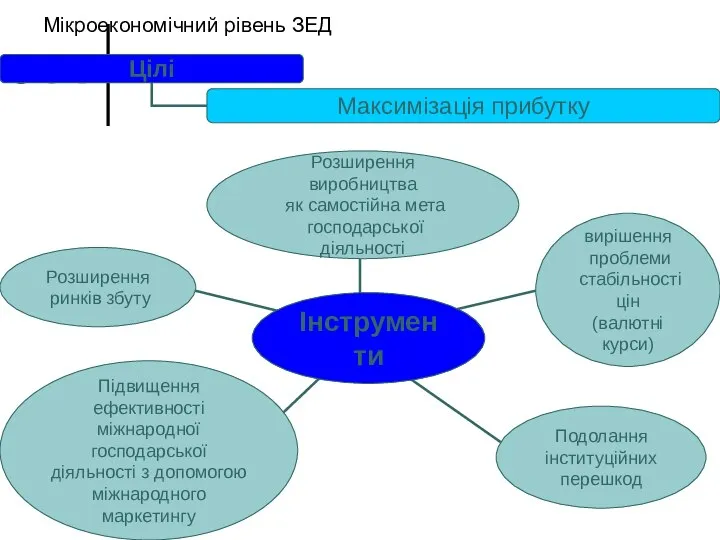 Мікроекономічний рівень ЗЕД