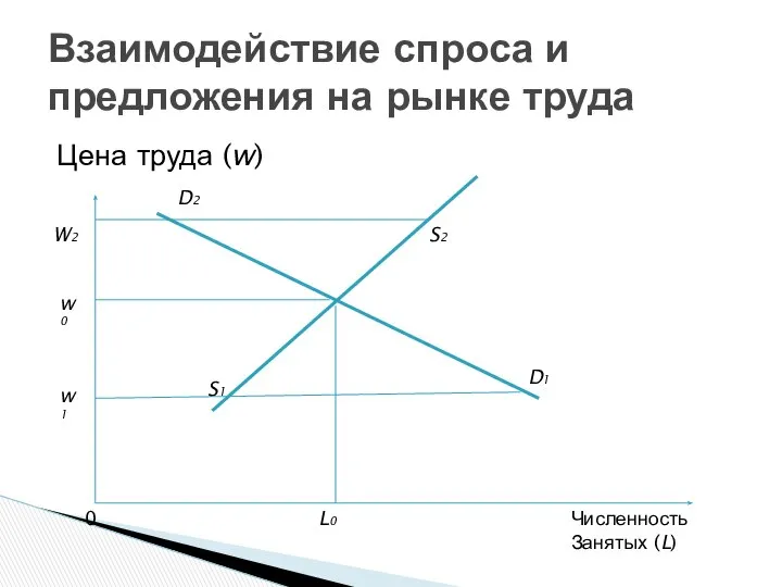 Взаимодействие спроса и предложения на рынке труда Цена труда (w) D2