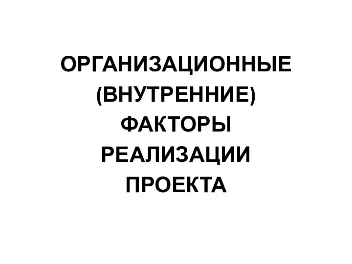 ОРГАНИЗАЦИОННЫЕ (ВНУТРЕННИЕ) ФАКТОРЫ РЕАЛИЗАЦИИ ПРОЕКТА