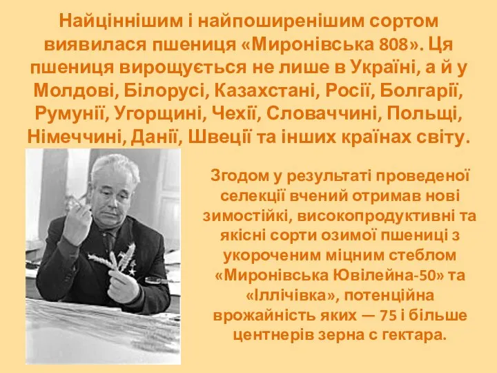 Найціннішим і найпоширенішим сортом виявилася пшениця «Миронівська 808». Ця пшениця вирощується