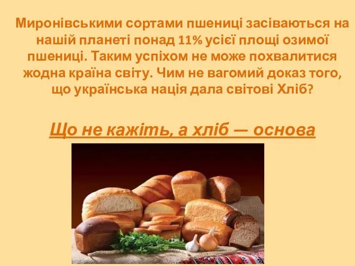 Миронівськими сортами пшениці засіваються на нашій планеті понад 11% усієї площі