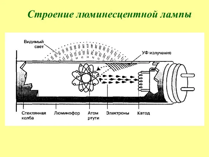 Строение люминесцентной лампы