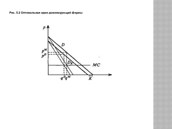 Рис. 5.2 Оптимальная идея доминирующей фирмы