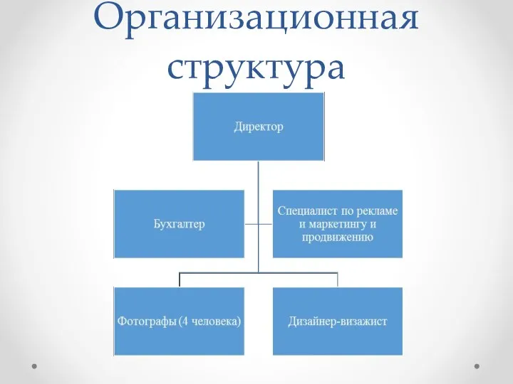 Организационная структура