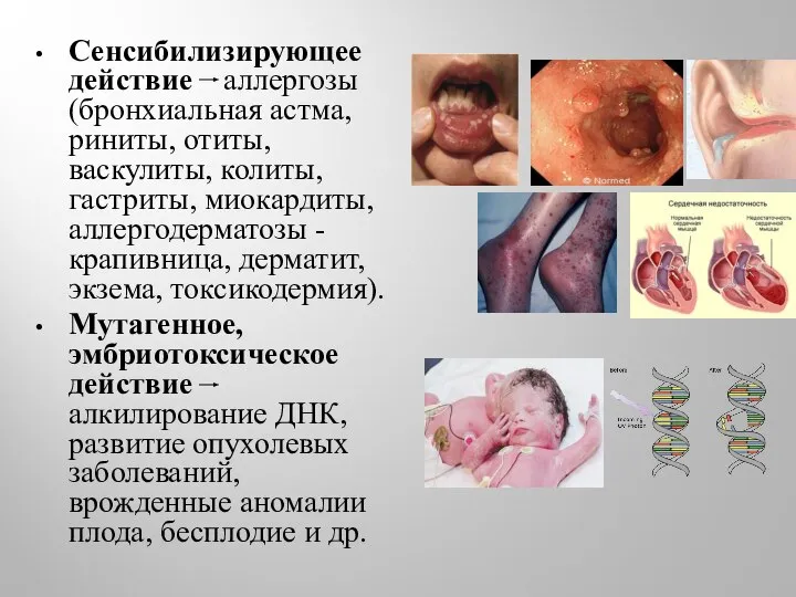 Сенсибилизирующее действие аллергозы (бронхиальная астма, риниты, отиты, васкулиты, колиты, гастриты, миокардиты,