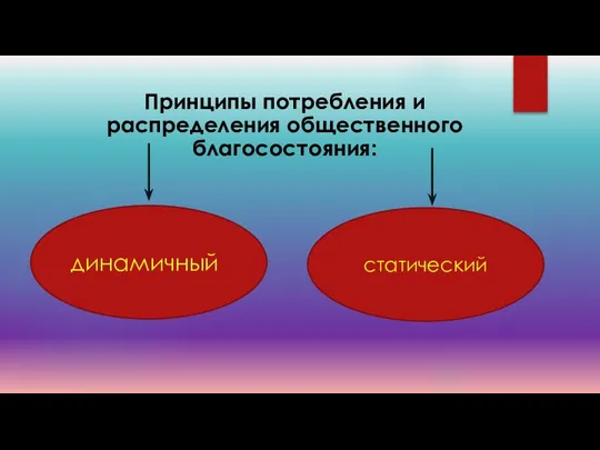 Принципы потребления и распределения общественного благосостояния: динамичный статический