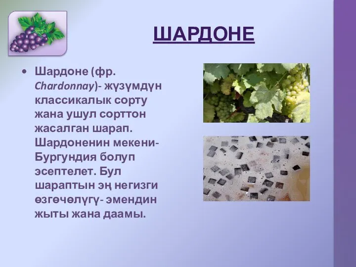 ШАРДОНЕ Шардоне (фр. Chardonnay)- жүзүмдүн классикалык сорту жана ушул сорттон жасалган