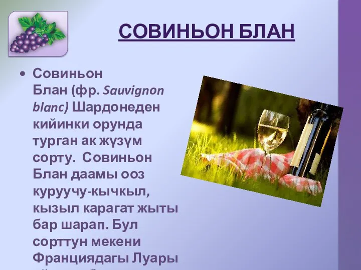 СОВИНЬОН БЛАН Совиньон Блан (фр. Sauvignon blanc) Шардонеден кийинки орунда турган