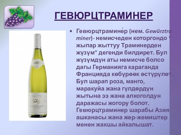 ГЕВЮРЦТРАМИНЕР Гевюрцтрамине́р (нем. Gewürztraminer)- немисчеден которгондо “ жыпар жыттуу Траминерден жүзүм”