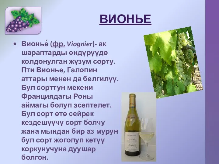 ВИОНЬЕ Вионье́ (фр. Viognier)- ак шараптарды өндүрүүдө колдонулган жүзүм сорту. Пти