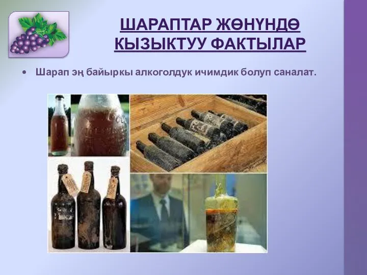 ШАРАПТАР ЖӨНҮНДӨ КЫЗЫКТУУ ФАКТЫЛАР Шарап эң байыркы алкоголдук ичимдик болуп саналат.