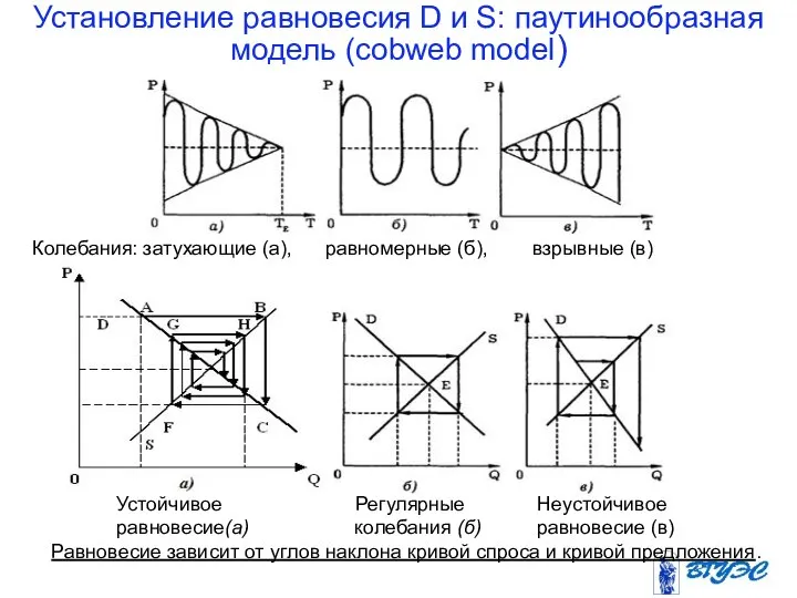 Установление равновесия D и S: паутинообразная модель (cobweb model) Равновесие зависит